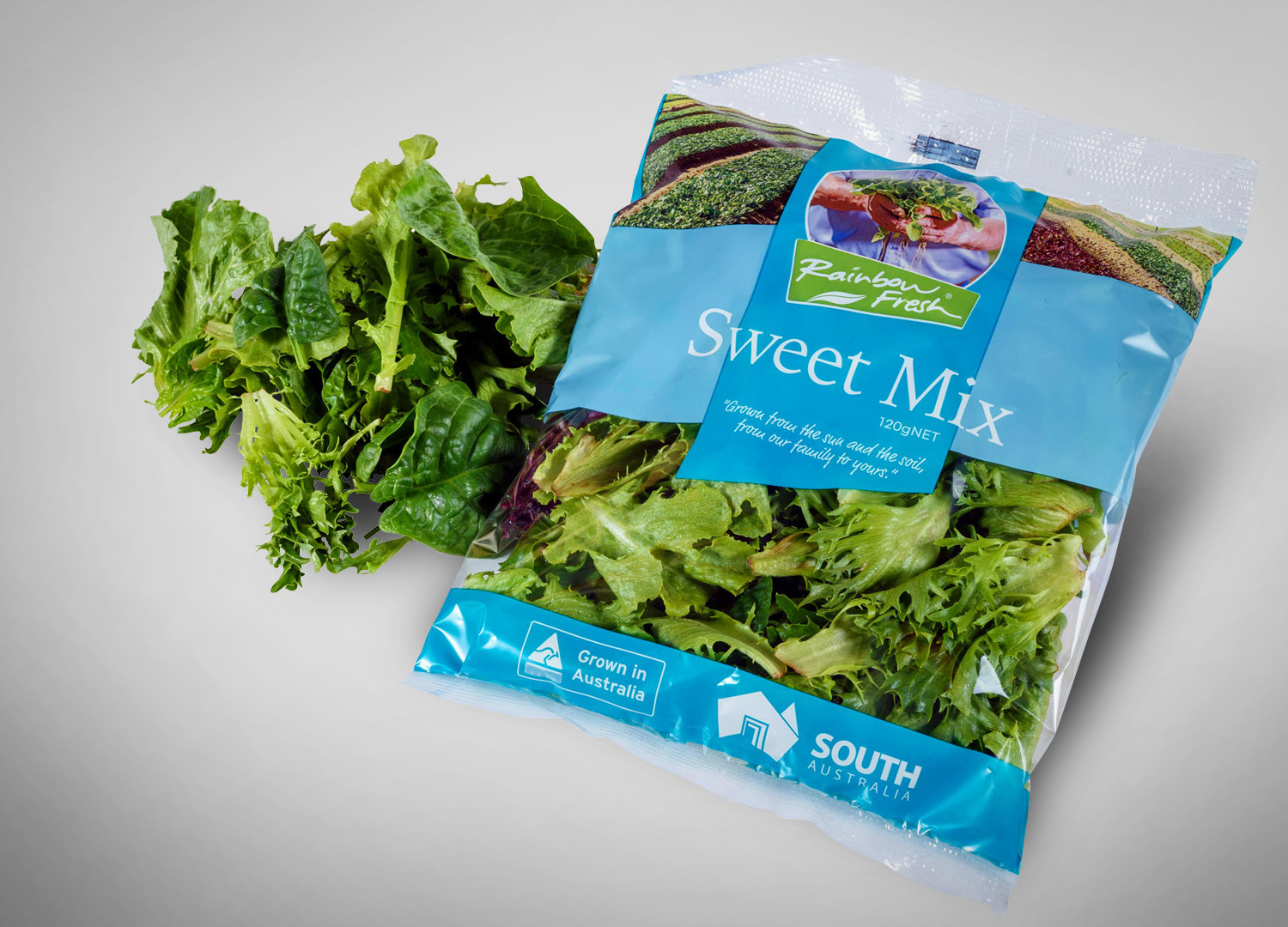 Rainbow Fresh lettuce